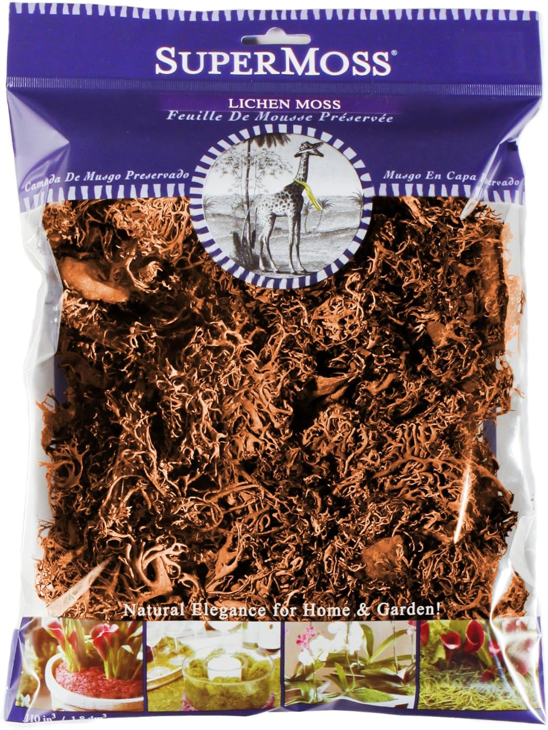 Supermoss Natural Preserved Branched Lichen Parmelia - 175 Cu. In. Orange for Floral Arrangements, Home Decor, and Terrariums