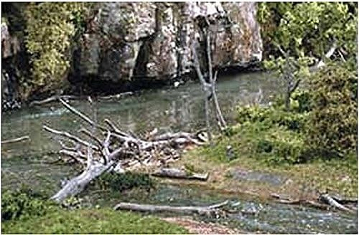 Woodland Scenics Dead Fall Branches - 0.5 oz Package