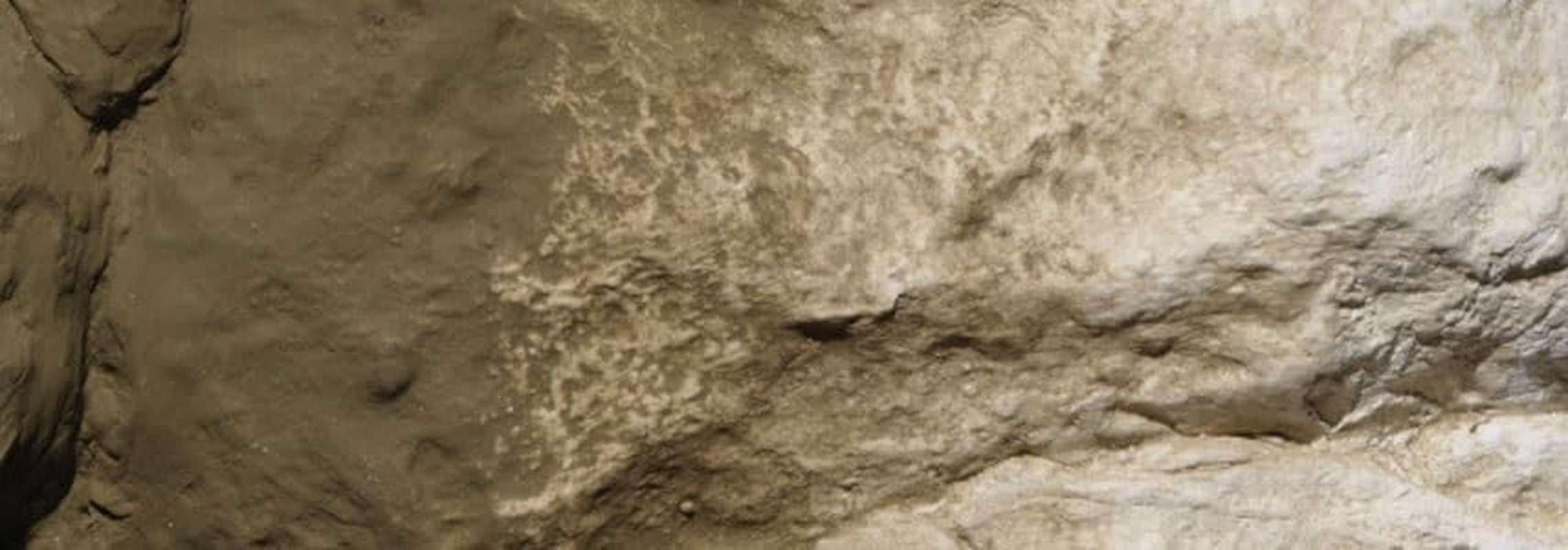 Woodland Scenics Earth Colors Liquid Pigment Paintbrush Set for Dioramas, Green Undercoat C1228 & Earth Undercoat C1229, 8 Ounce (Pack of 2)