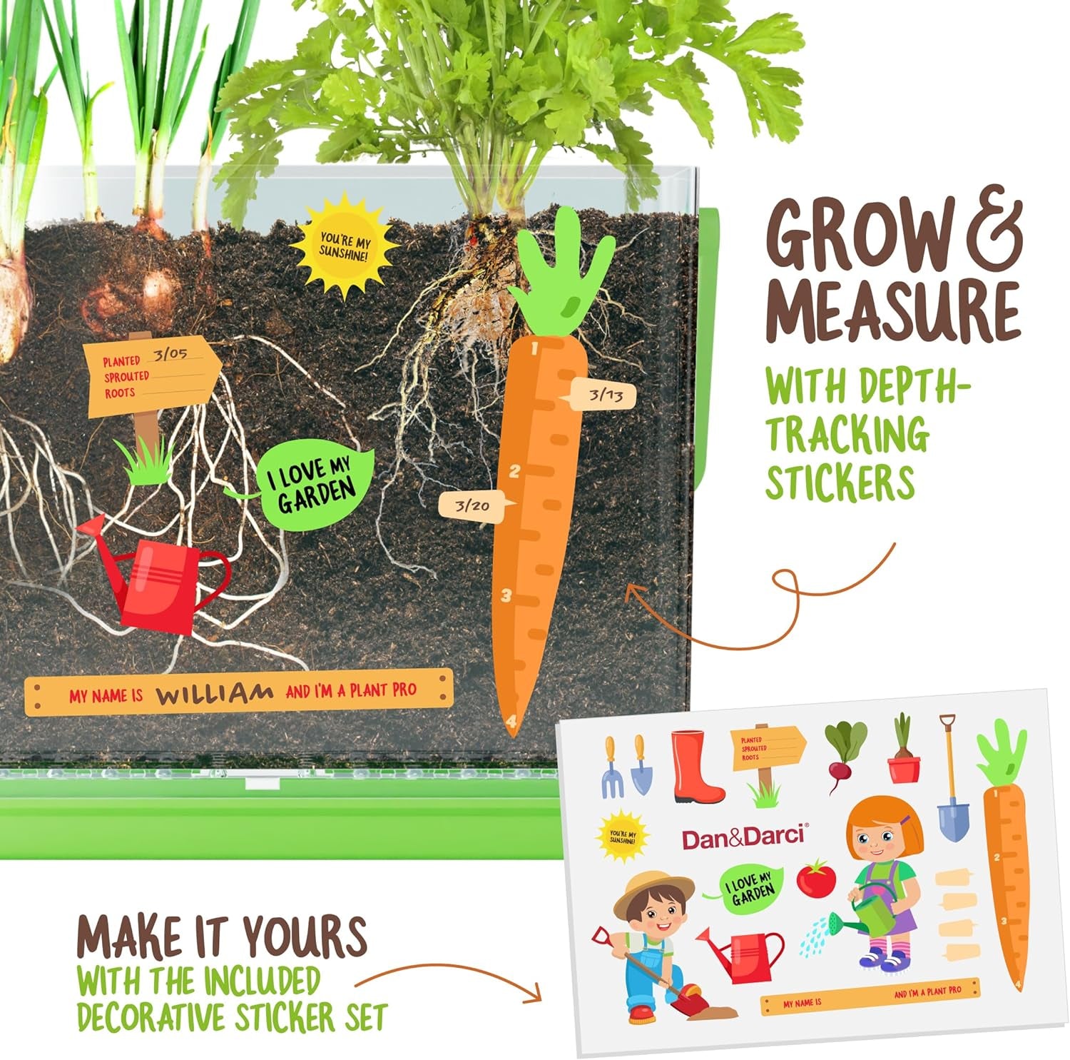 Dan&Darci Root Viewer Kit - Educational Plant Growing Kit for Children Aged 4-8, Ideal STEM Toy and Craft Gift for Birthdays and Christmas