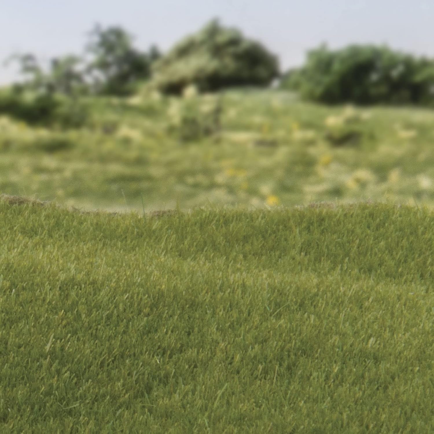 Woodland Scenics 2mm Dark Green Static Grass - FS613