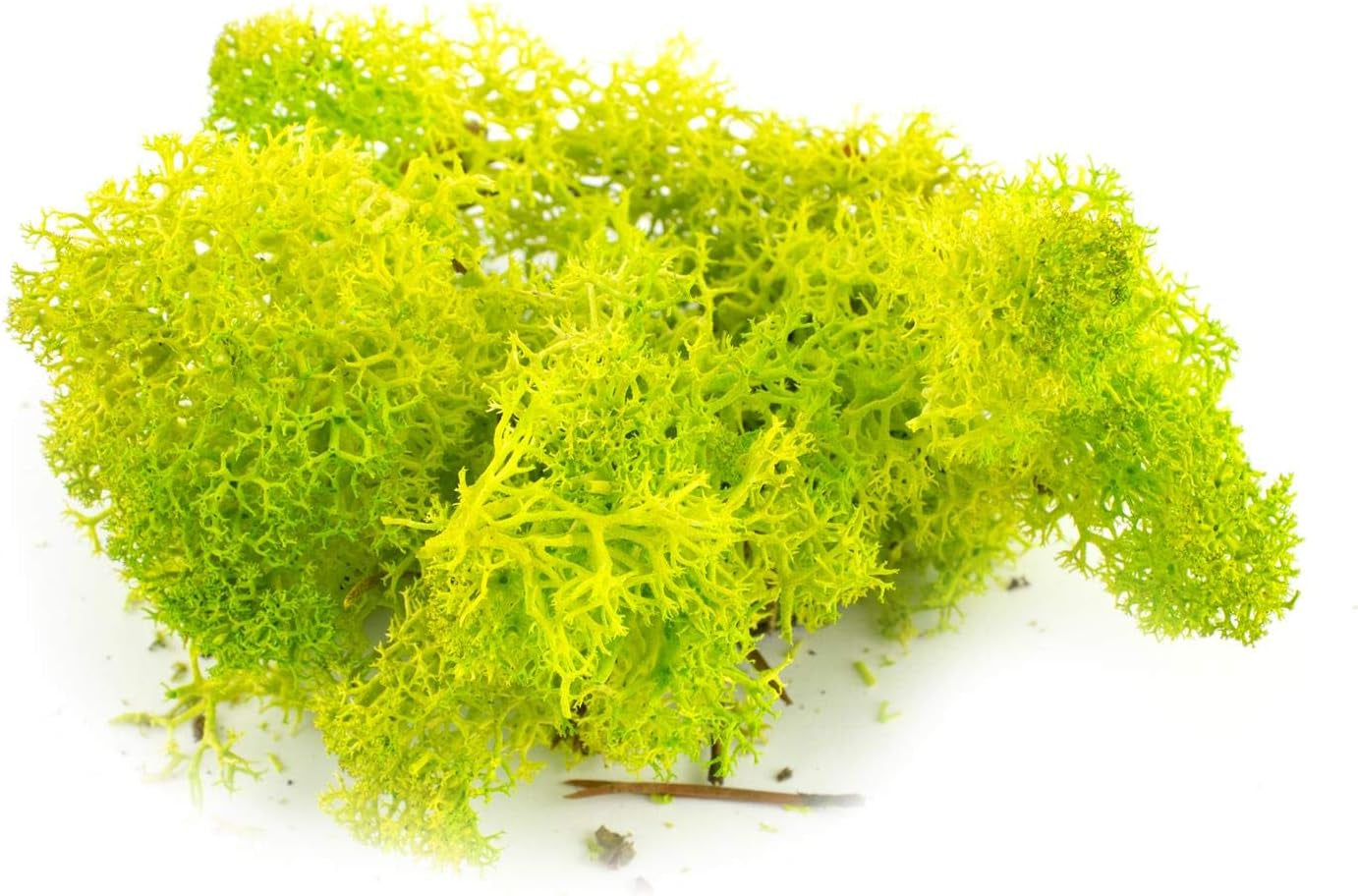 War World Scenics Multi-Pack Lichen Moss Model Foliage (3 x 20g) - Light Green, Dark Green, Brown for Railway Modelling and Diorama Scenery