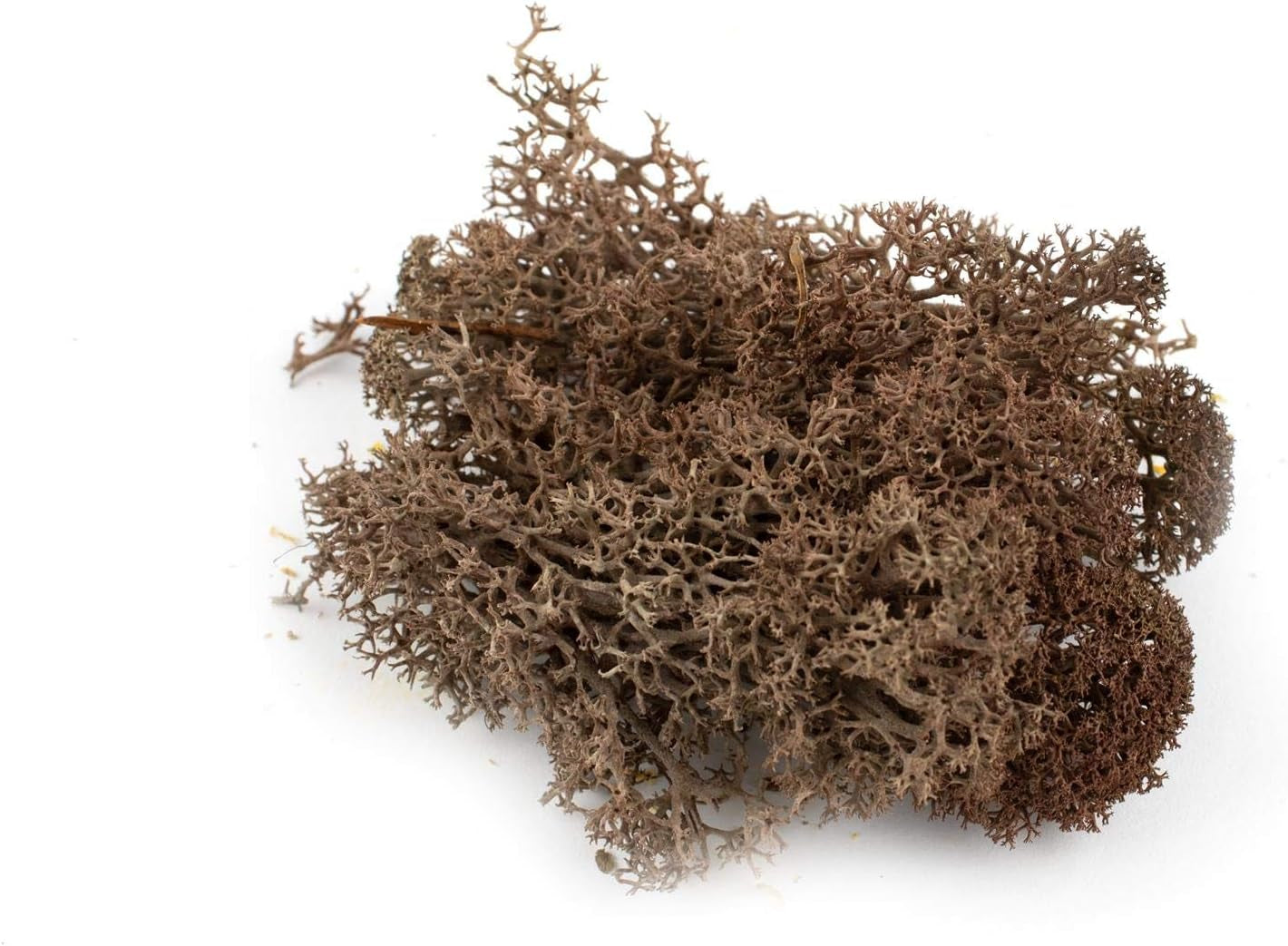 War World Scenics Multi-Pack Lichen Moss Model Foliage (3 x 20g) - Light Green, Dark Green, Brown for Railway Modelling and Diorama Scenery