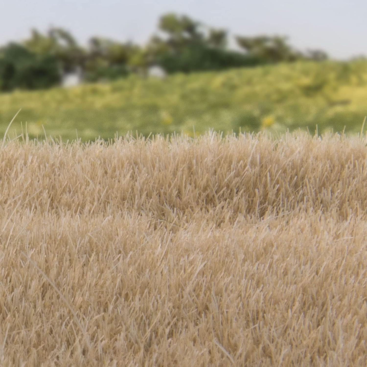 Woodland Scenics 4mm Static Grass - Straw (FS620)
