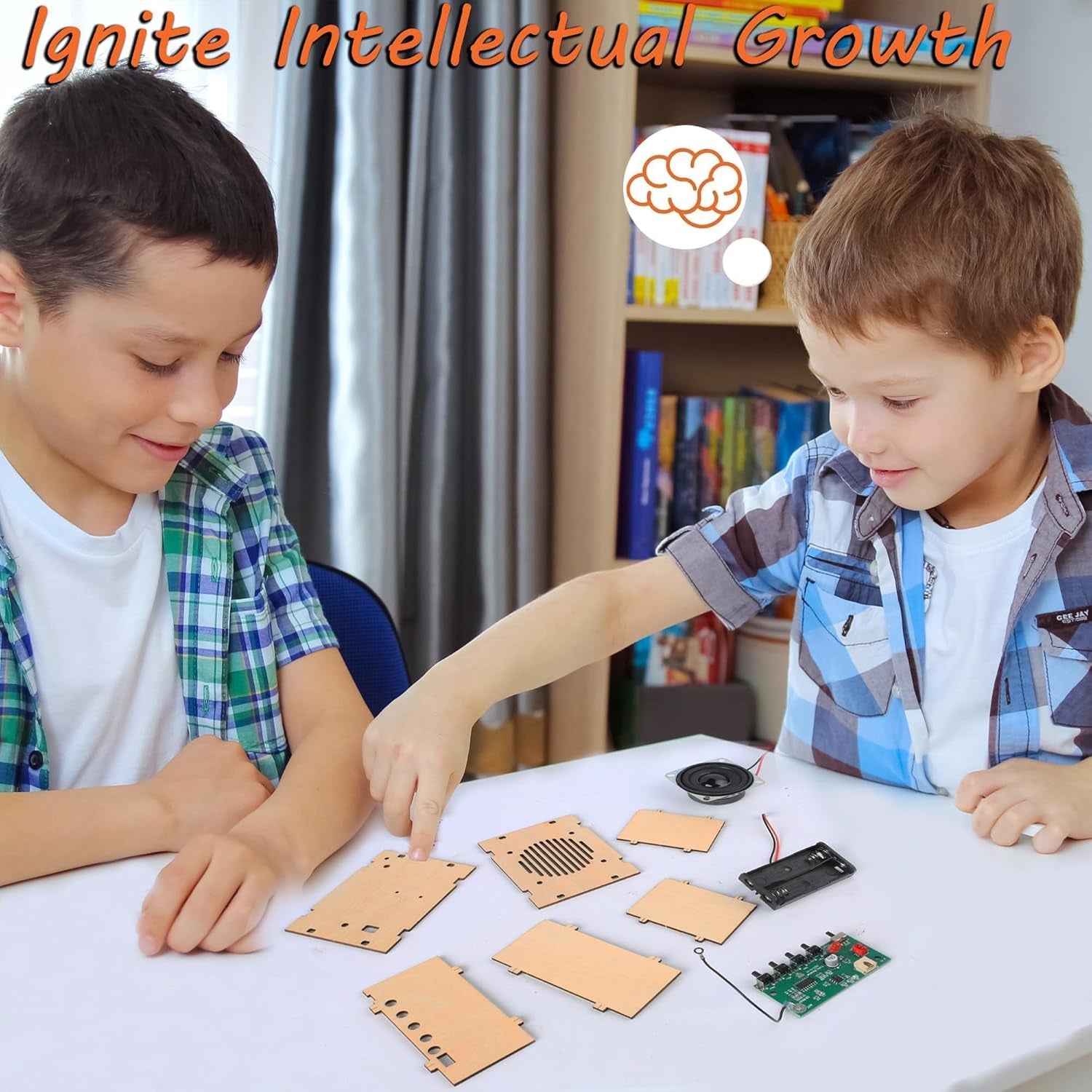 STEM Science Kits for Ages 8-14: Build Your Own FM Radio and DIY Electronic Snap Circuits Projects for Teens and Preteens (Classic Wood)