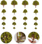 Angoily 20-piece miniature model trees set with yellow landscape props for N scale train layouts and fairy gardens.