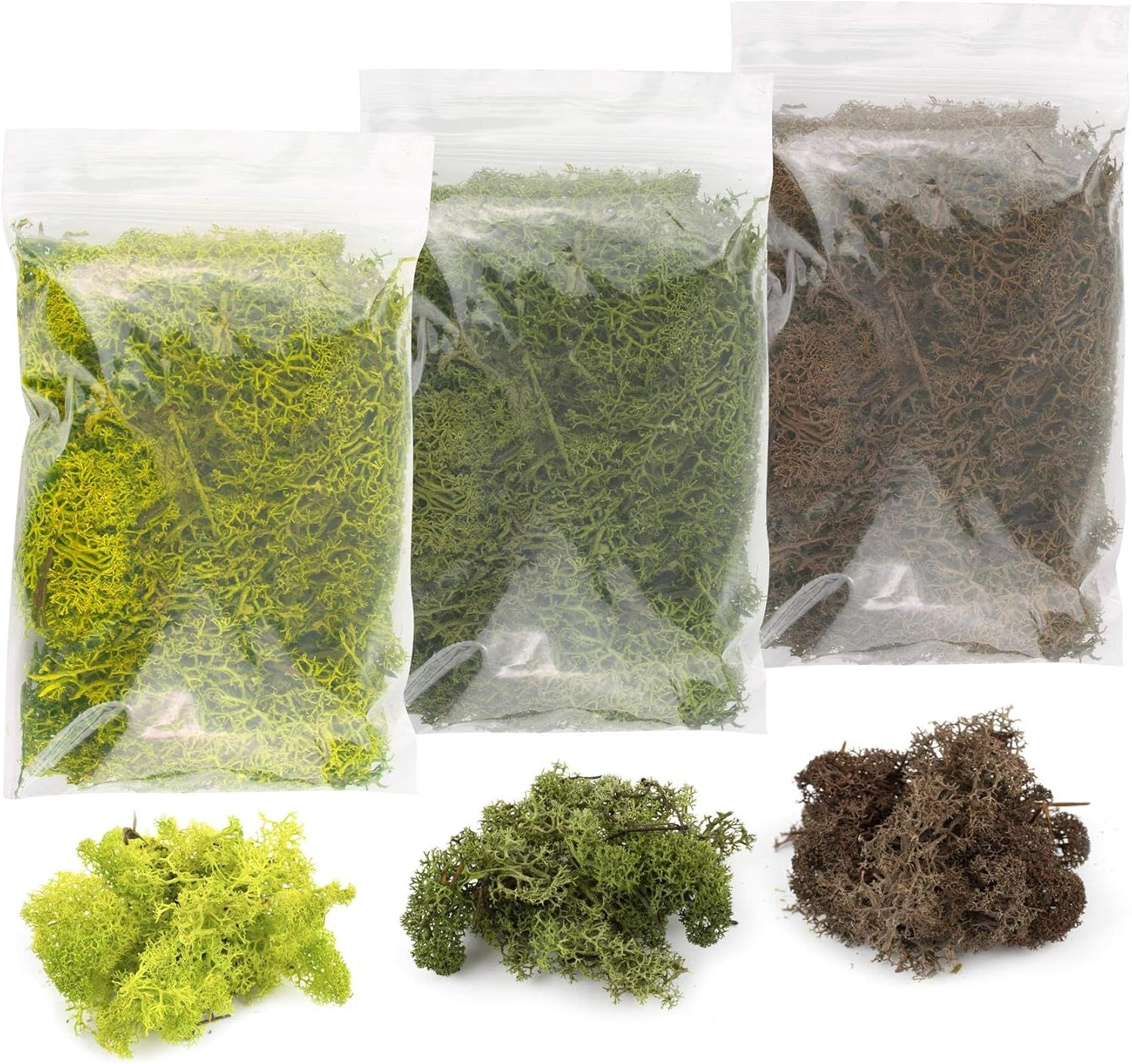 War World Scenics Multi-Pack Lichen Moss Model Foliage (3 x 20g) - Light Green, Dark Green, Brown for Railway Modelling and Diorama Scenery