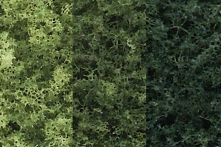 Enhance Your Environment with 3"-5" Woodland Scenics Tree Kits