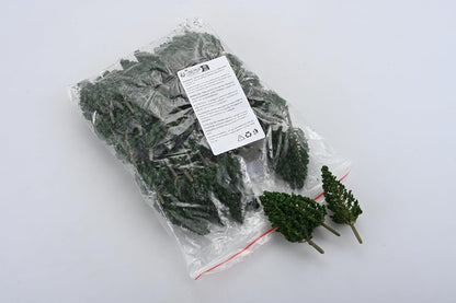 Yetaha 50-Piece River Diorama Model Trees Set, OO/HO Scale Pine and Cedar Trees for Woodland Scenery and Railroad Landscape Architecture