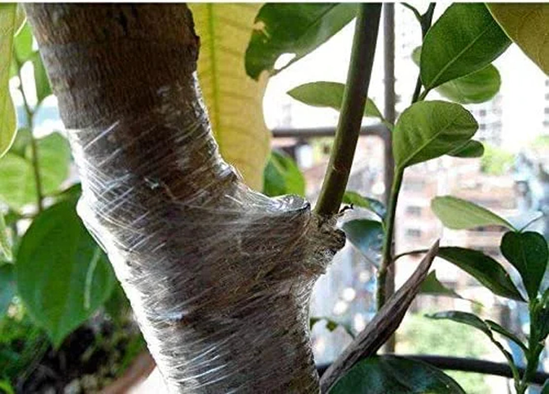 Parafilm Grafting Tape Nursery Sealing PVC Stretchable Resilient 29Mm Width Garden Hand Tools