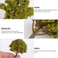 Angoily 20-piece mixed model trees set with miniature yellow landscape props for N scale model trains and fairy gardens.
