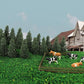 50 dark green pine model cedar trees, 2.05 inches tall, for HO and N scale model railroad scenery and landscape design.