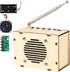 STEM Science Kits for Ages 8-14: FM Radio Construction and DIY Electronic Snap Circuits Projects for Teens and Preteens (Classic Wood) - BYMRR Train Store