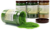 Evemodel CFA4 4 x 300ml green static grass terrain powder for fairy gardens, miniatures, landscapes, and model railway layouts