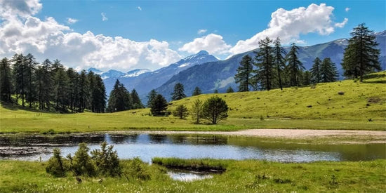 8x4 ft nature scenic backdrop by BYMRR Train Store featuring mountain, forest, river, blue sky, and white clouds for photography and decor