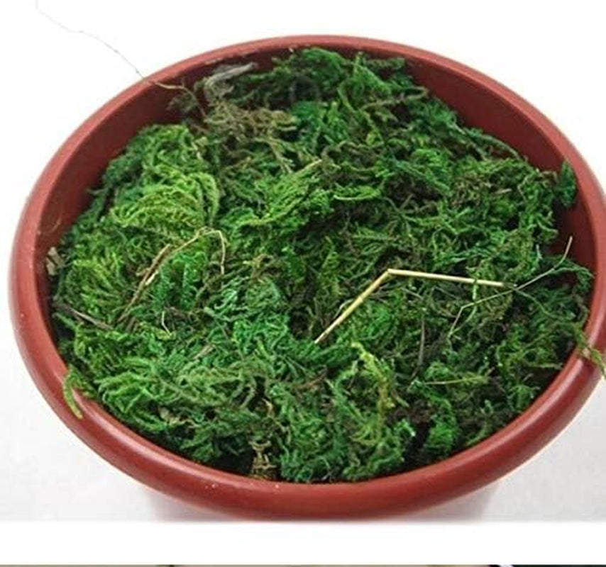 140Ml Railroad Scenery Forest Ground Cover Static Grass Artificial Moss War Gaming Scenery Miniature Basing Material Landscape Model Modelling Diorama Railway Railroad Layout Hobby (Green)