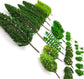 36-piece mixed model trees set by MOMOONNON with green foliage, 1.36-6 inches tall, for train scenery, models, and DIY crafts.