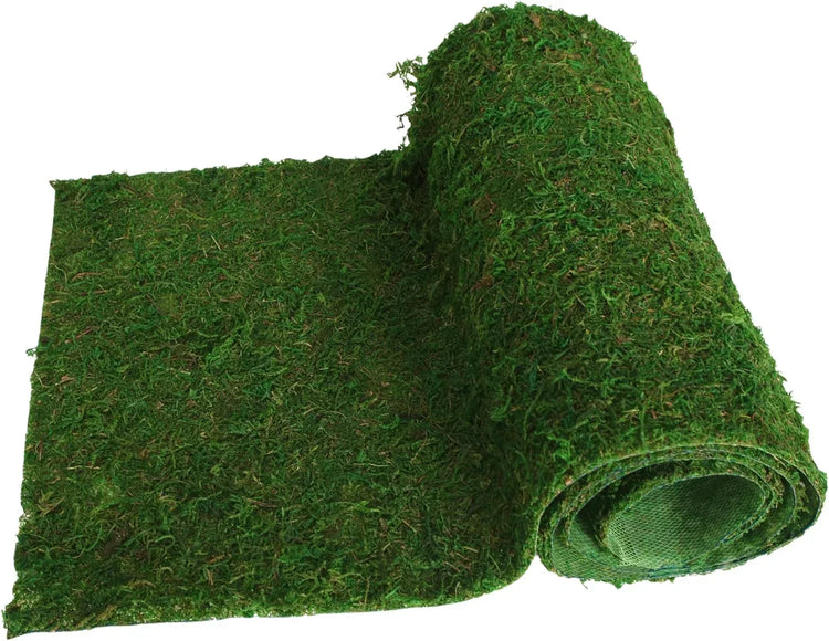USMOLA dried moss roll for crafting and decoration, 12" wide by 60" long, ideal for fairy gardens, weddings, and woodland decor.