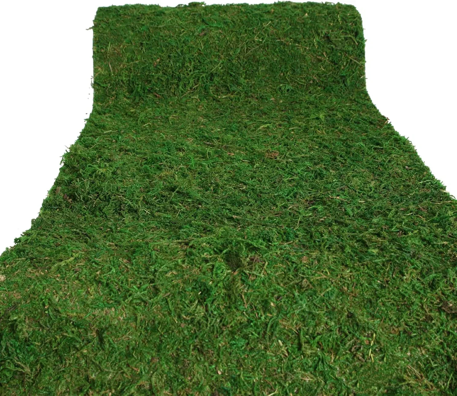 USMOLA dried moss roll for craft and decoration, 12" wide by 60" long, ideal for fairy gardens, weddings, and woodland decor.