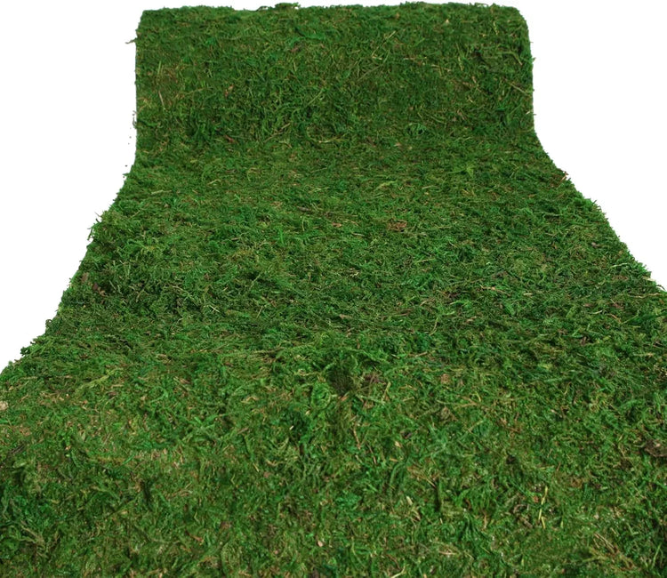 USMOLA dried moss roll for craft and decoration, 12" wide by 60" long, ideal for fairy gardens, weddings, and woodland decor.