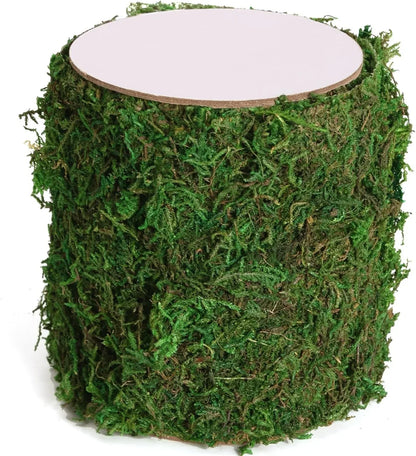 USMOLA dried moss roll for crafting and decoration, showing a lush preserved moss mat suitable for fairy gardens and woodland decor.
