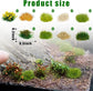 Warmtree 126-Piece Static Grass Bushy Tufts and Lowland Shrubs Terrain Model Kit for Train Landscape, Railroad Scenery, Military Layouts, and Miniature Dioramas - BYMRR Train Store