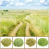 Warmtree 4-Piece Mixed Static Grass Terrain Powder Set for Diorama and Model Landscape Simulation - BYMRR Train Store