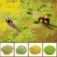 Warmtree 4-Piece Mixed Static Grass Terrain Powder Set for Diorama and Model Landscape Simulation - BYMRR Train Store