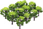 WINOMO 12-piece miniature model trees for train railroad scenery and landscape enhancement, showing detailed small trees for model layouts.