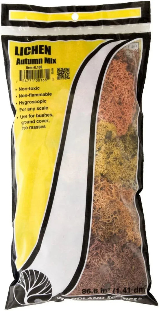 Lichen Bag in Autumn Palette - 86.6 Cubic Inches - BYMRR Train Store