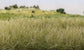 Woodland Scenics 4mm Light Green Static Grass - FS619 - BYMRR Train Store