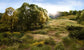 Woodland Scenics 4mm Light Green Static Grass - FS619 - BYMRR Train Store