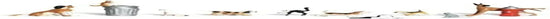 HO scale Woodland Scenics dog and cat figurines set, detailed miniature animals for model train layouts and dioramas.