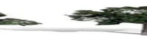 Woodland Scenics Classics Cool Shade Trees (Set of 8), Height 0.75-1.25 Inches
