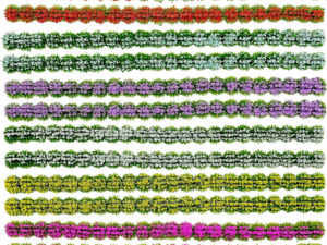 5ce29b70114c2cce1940f33c645e0536.png