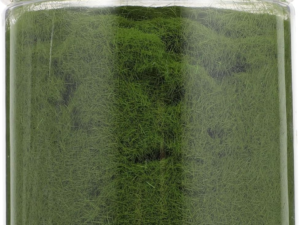 5c5ab059b3193af86b46ccf7015355f4.png