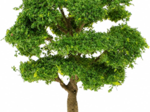 6300b3b3e3ccece8d524416bda3ee410.png
